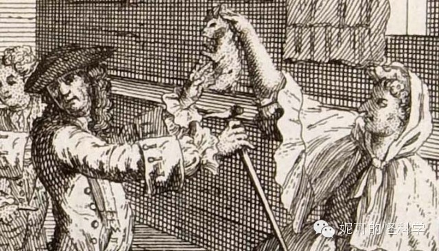 女生生兔子宝宝,女人生兔子