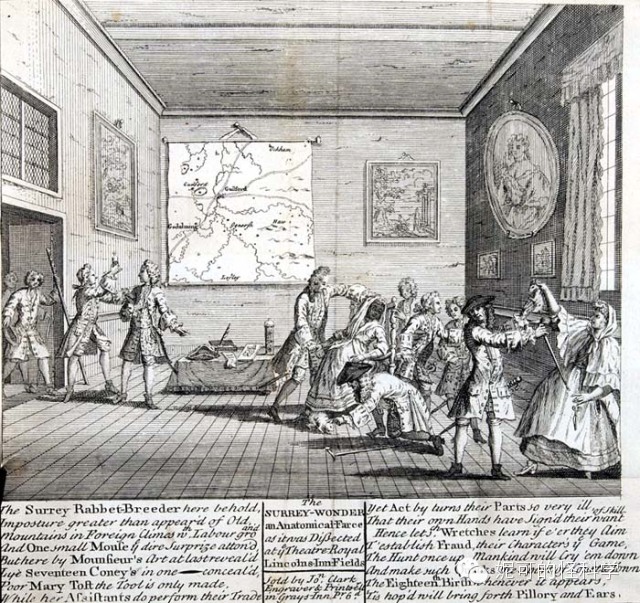 女生生兔子宝宝,女人生兔子