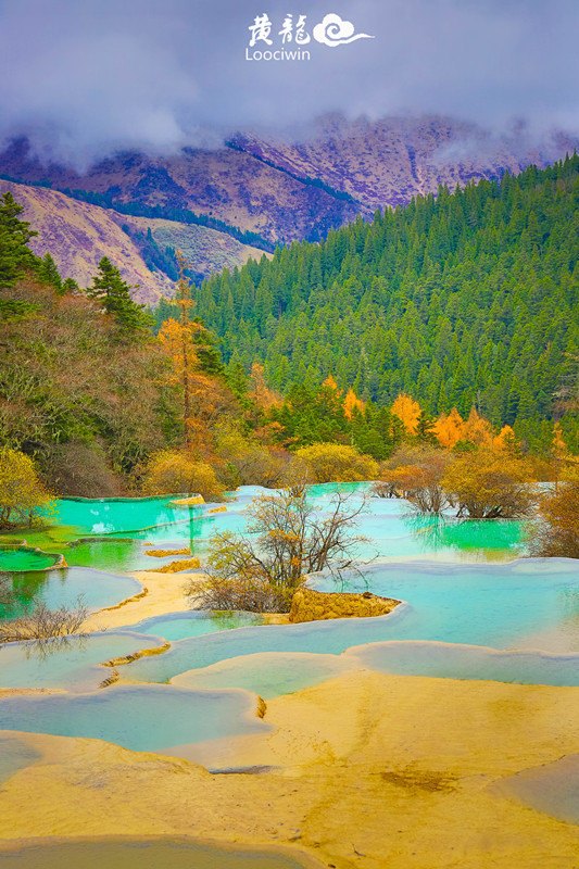 鍛宠暰娴佽繛蹇樿繑,鍛宠暰鐣欐亱