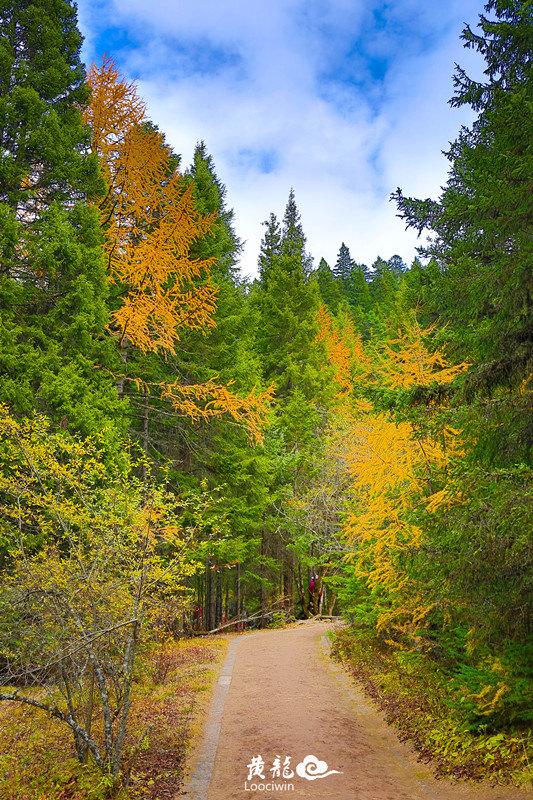 鍛宠暰娴佽繛蹇樿繑,鍛宠暰鐣欐亱