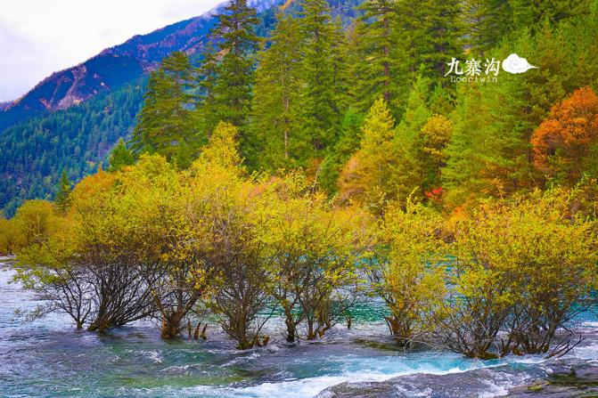 鍛宠暰娴佽繛蹇樿繑,鍛宠暰鐣欐亱