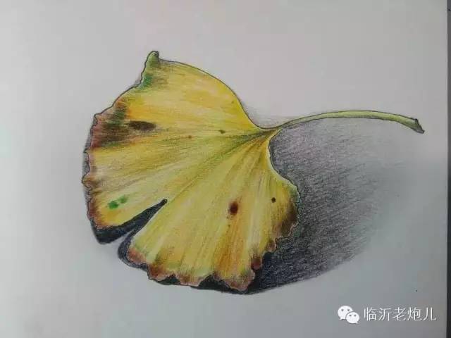 带上手鼓去旅行,带着旅行箱去旅行绘画