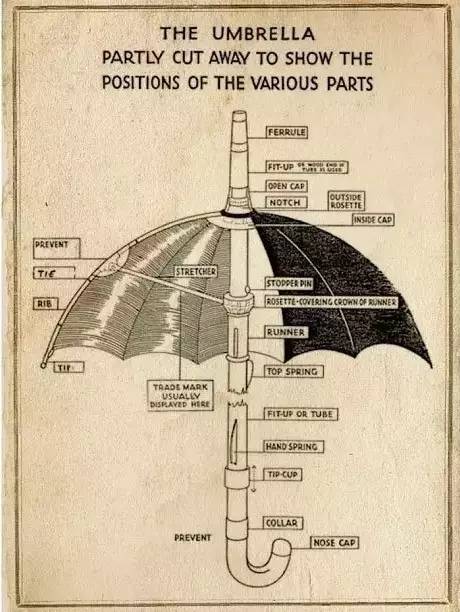 比宋仲基还撩妹的---FoxUmbrellas