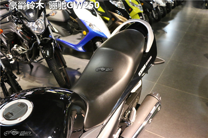 全民跑山时代的入门利器——两款250级别的合资街车