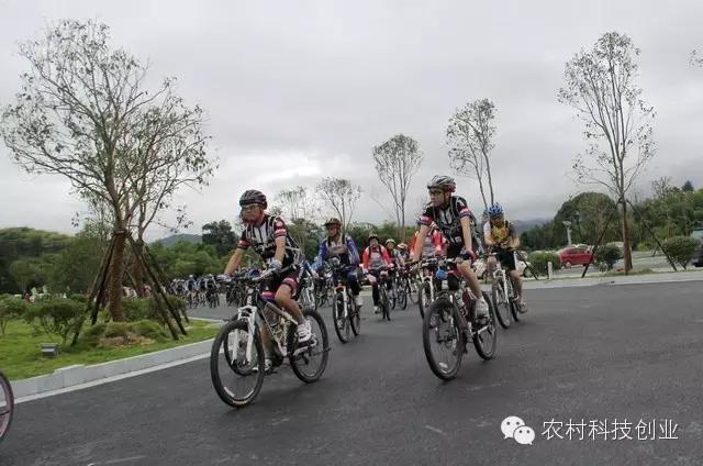 农村新商机小本创业,适合农村创业的小本点子