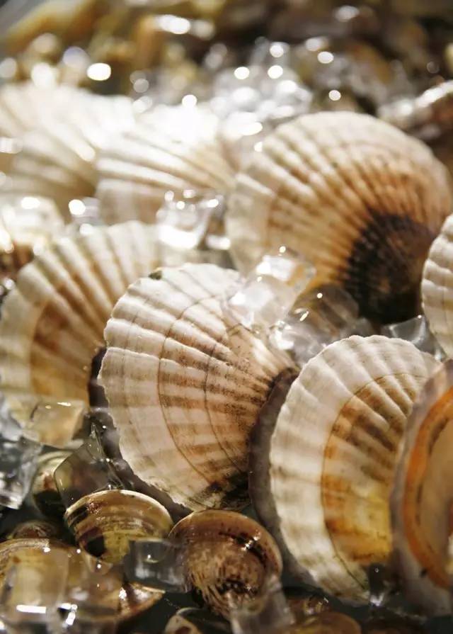 能吃一整天的自助餐,可以吃上一天的自助餐