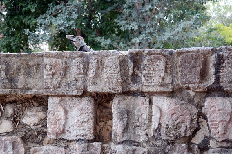 玛雅残忍祭祀,玛雅最残暴的祭祀