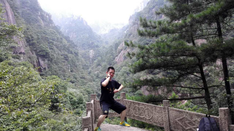 王国印案,王国印