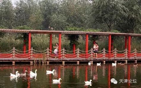 天津最值得去的公园排名榜前十,天津津南区值得游玩的公园