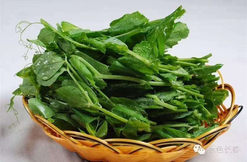 四川蜀香火锅,蜀九香正宗重庆火锅