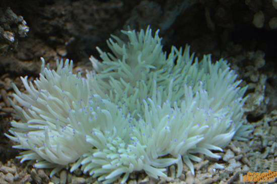 那些不认识的海鲜小干货,超级干货2022