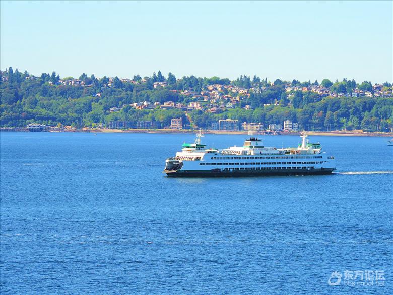 西雅图油价,西雅图油价多少钱