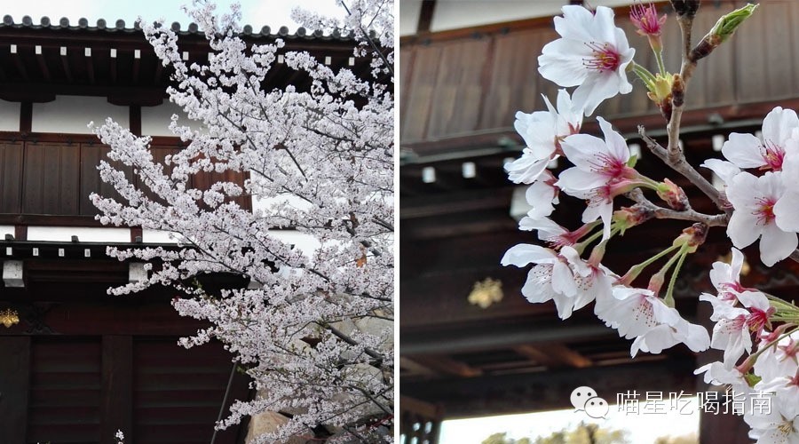 奈良鹰长菩提清酒,奈良时代的日本历史