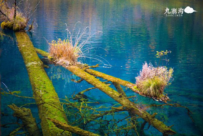 鍛宠暰娴佽繛蹇樿繑,鍛宠暰鐣欐亱