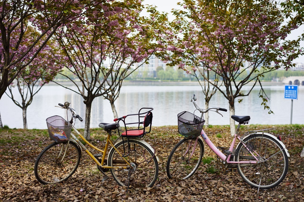 无锡农历四月二十玉祁镇庙会,三月三无锡哪个地方庙会