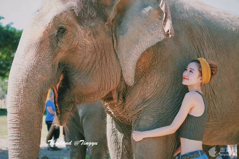 旅游攻略泰国免费,攻略带你了解最美的泰国景点