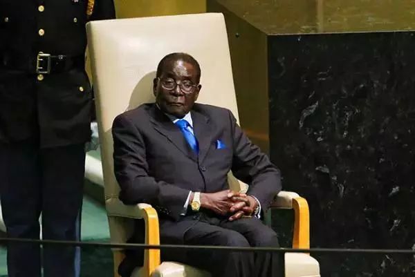 鸿雁知天下,鸿雁知天下最新新闻