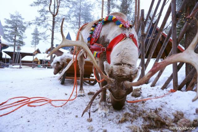 2018来一次跨年旅行,2019跨年旅行攻略