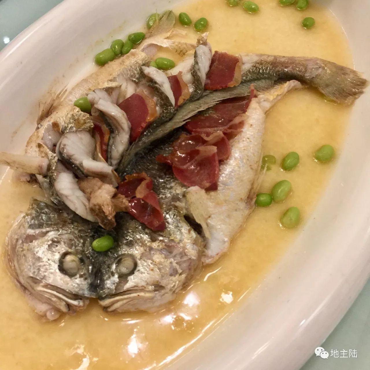 上海周边吃喝玩乐推荐,上海周边自驾游旅游农家乐推荐