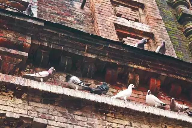 行万里路游览世界,行万里路去看更多的风景