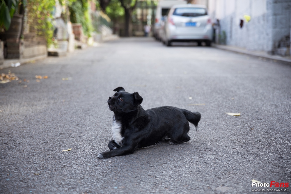 带上跑鞋去旅行,带着马去旅游的车