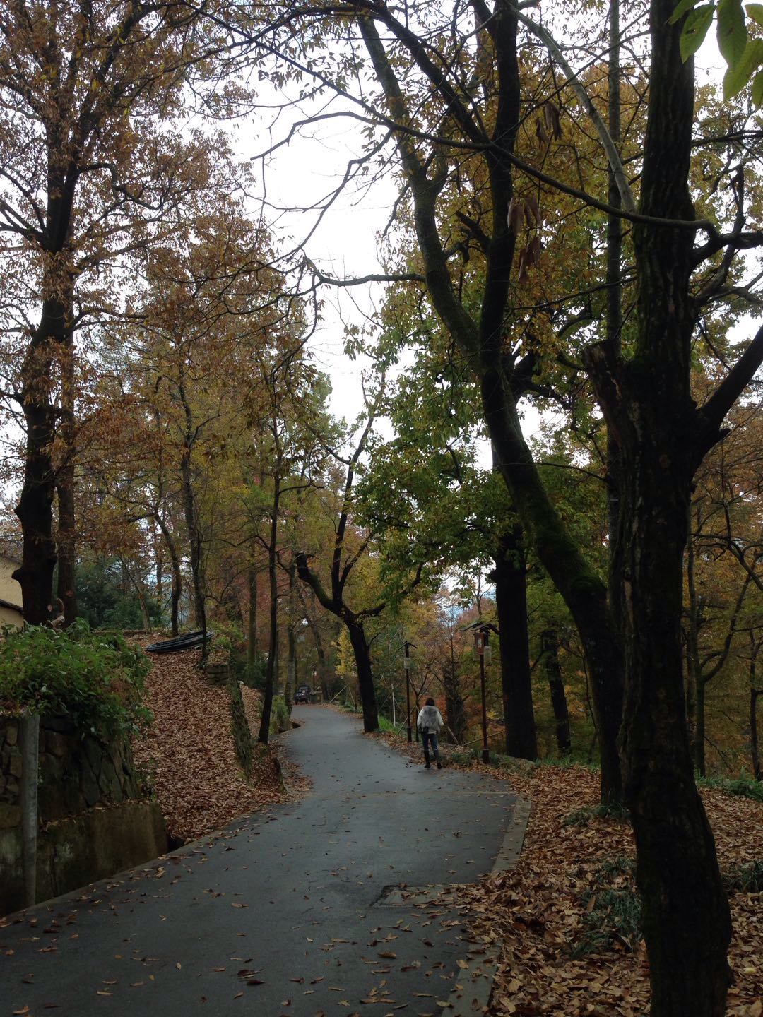 村民一年农家乐收入180万农民玩精品民宿一年100万,看看浙江“走进森林人家”采访活动你会吃惊