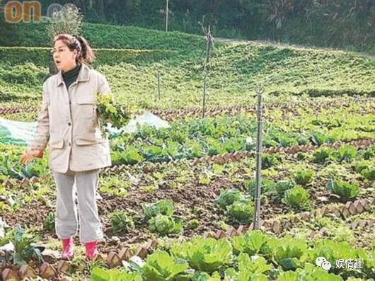 被骗八千万,被得意门生告,送丈夫跑车致其丧命,农场养鸭了余生