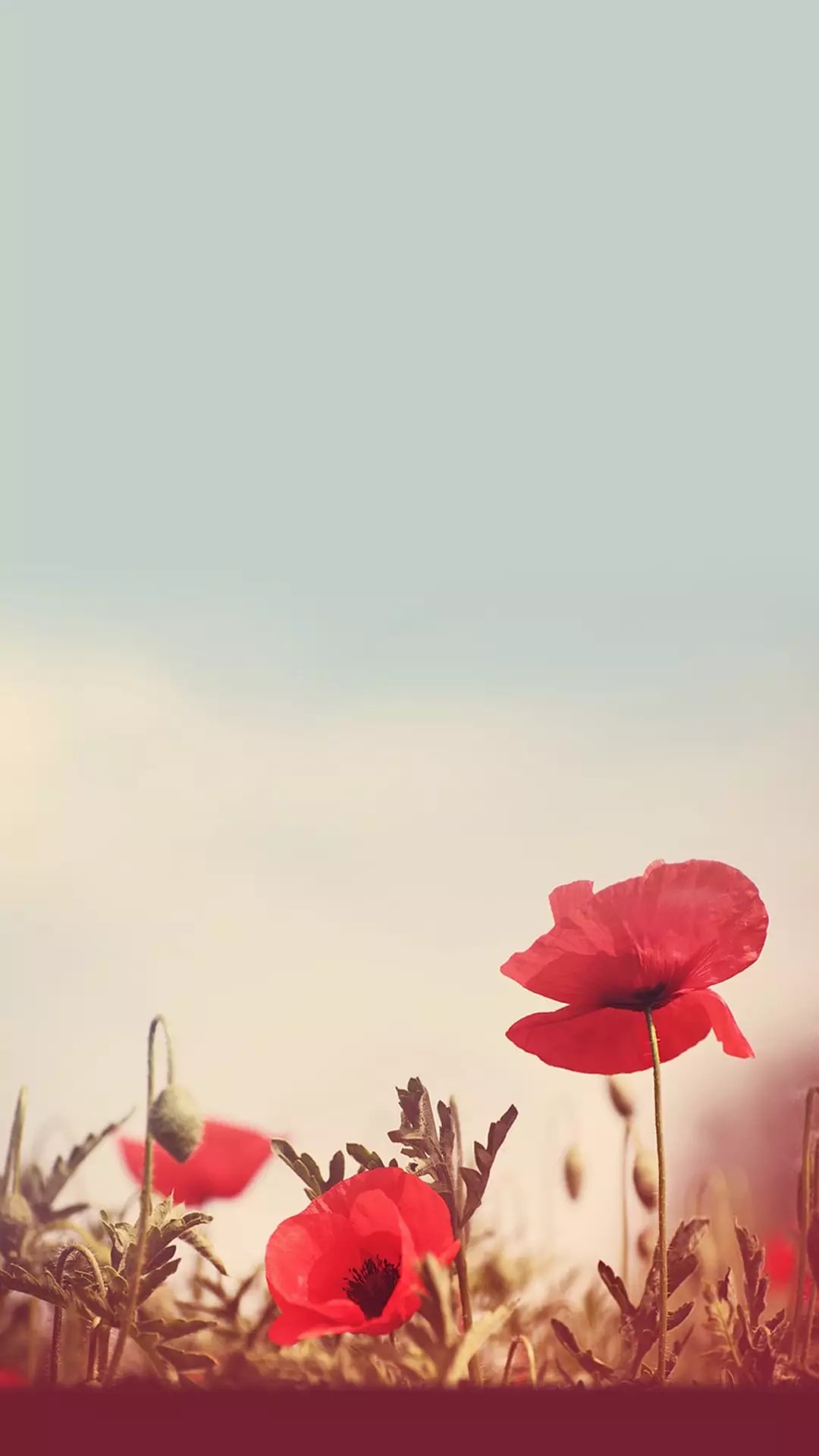 一句话签名简单干净,微信签名一句话霸气