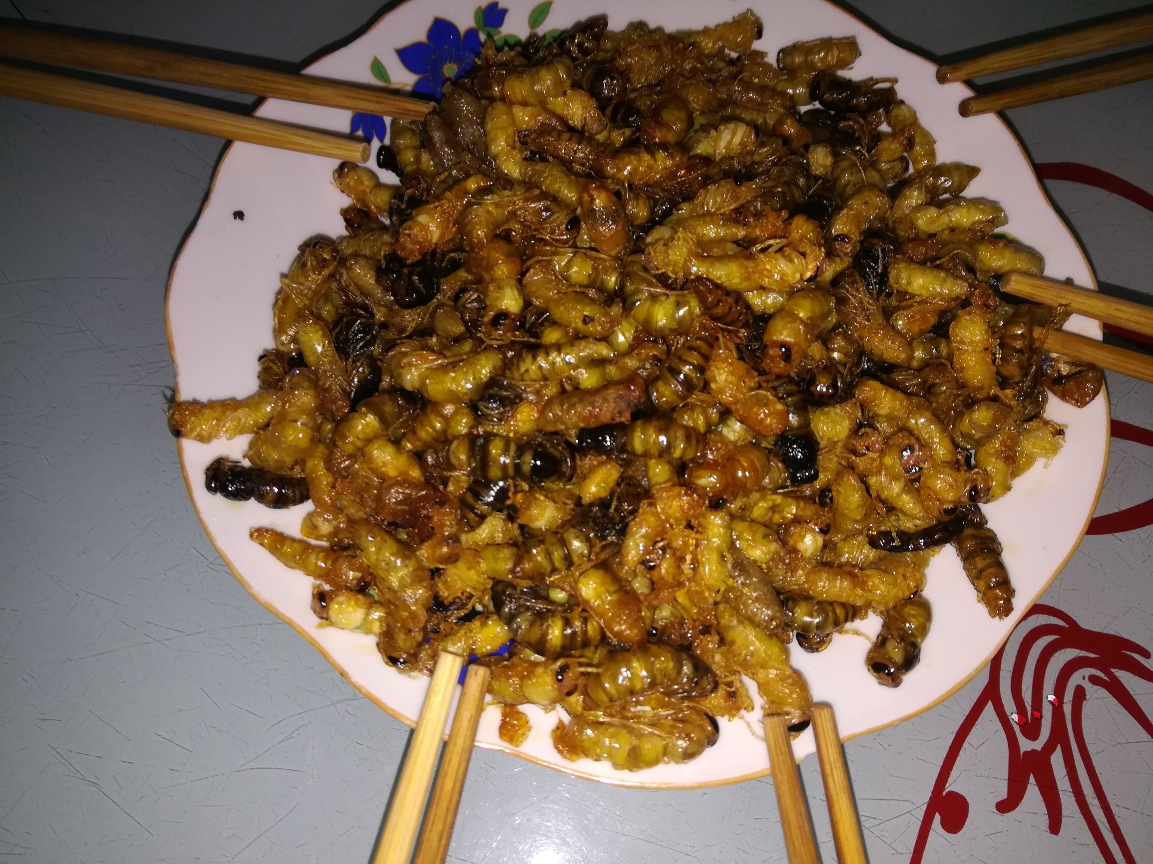 昨晚吃了这个山珍营养过剩睡不着在楼下坐了一个晚上