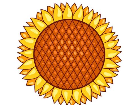 iphone出现崩溃记录有事吗,iphone爆开怎么办