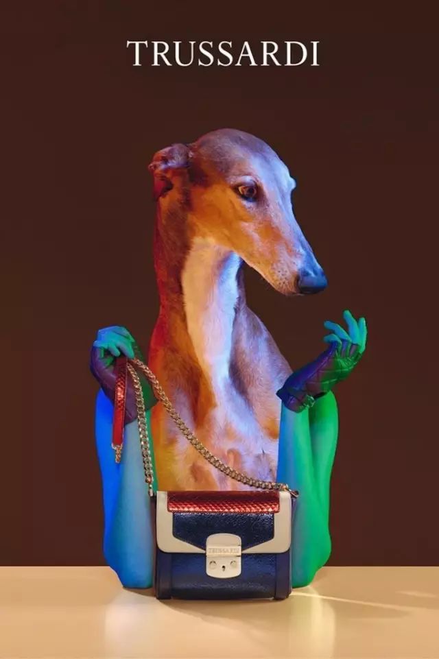 傲娇的老佛爷也要每天看Ta脸色