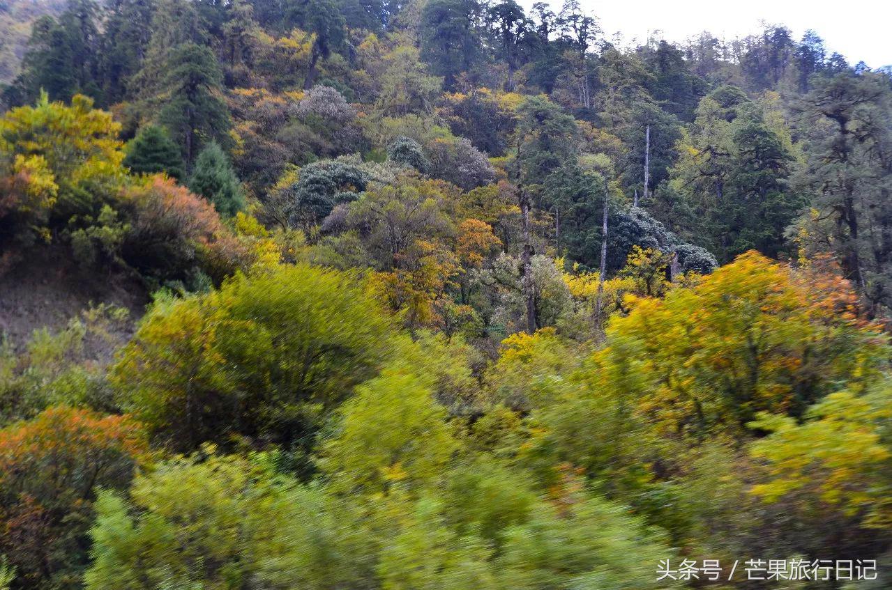 一个人独闯边境,一个人独闯的视频