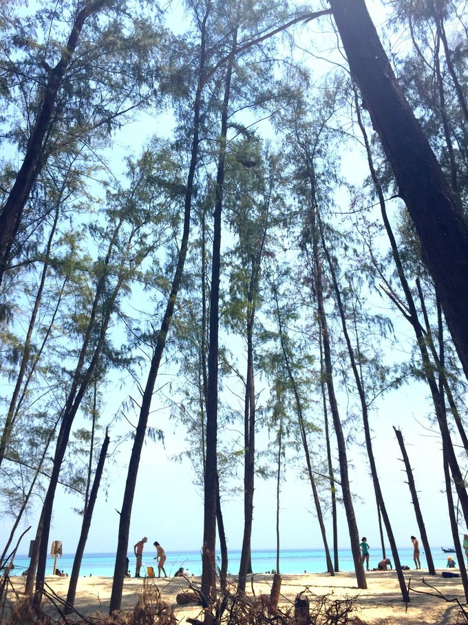 阳光沙滩与海边,阳光与沙滩结局