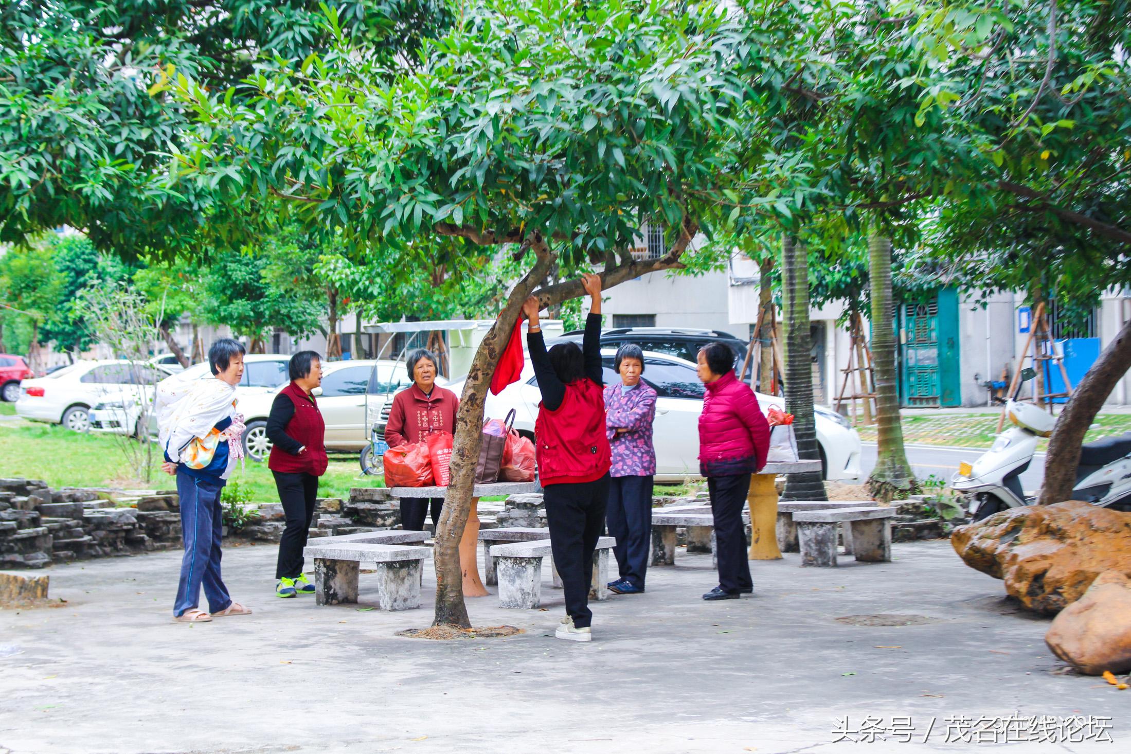 江东花园最好小区,发现我们身边的美