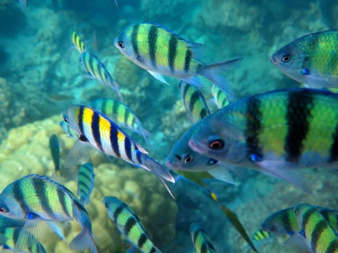 阳光沙滩与海边,阳光与沙滩结局