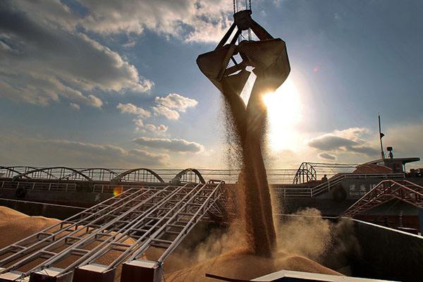 中粮集团重点打造粮油食品产业链,中粮和abcd粮商之战