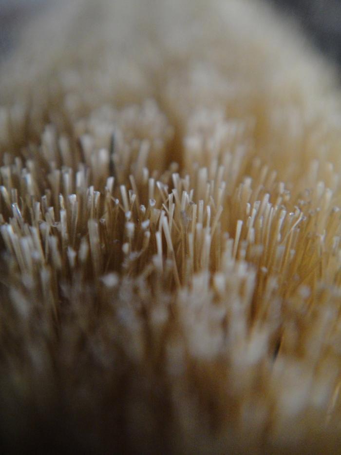 清洁球鞋方式家用,球鞋清洗