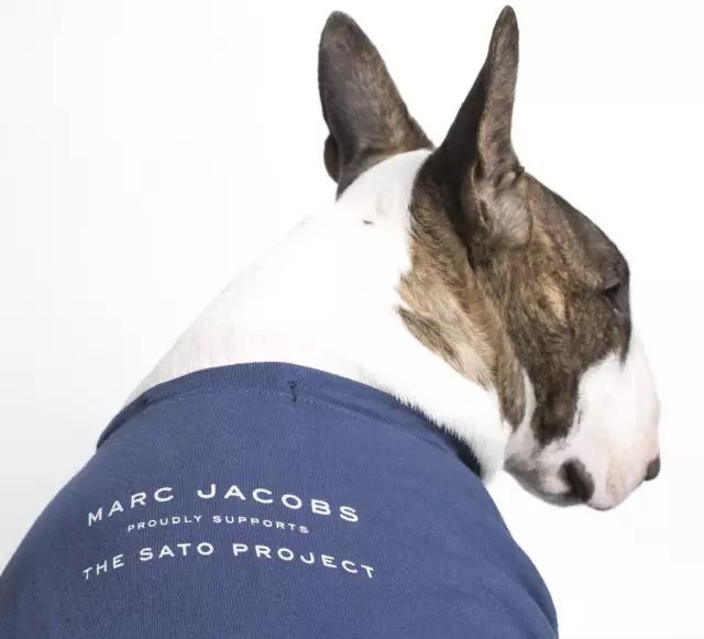 傲娇的老佛爷也要每天看Ta脸色