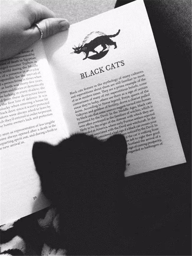 朋友圈商业励志短句,店里朋友圈励志正能量语录