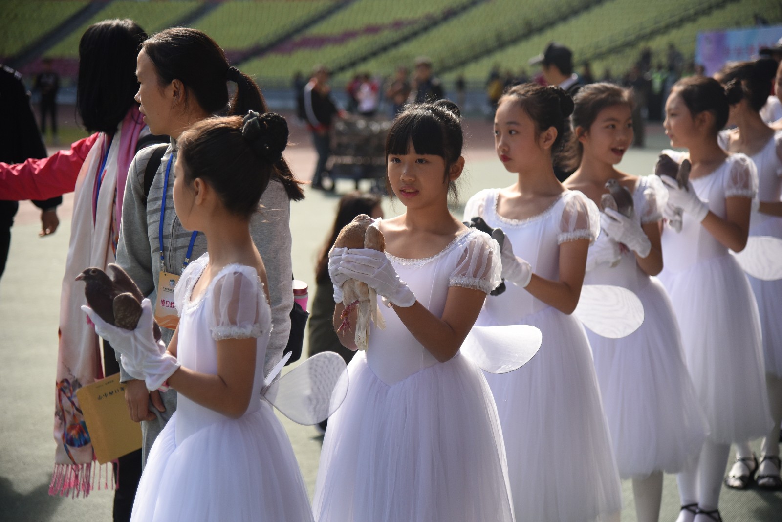 天河｜龙口西小*运学**动会：和平鸽、汉服、管乐队、拉丁舞团……