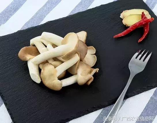 秀珍菇设施栽培高产新技术有哪些,秀珍菇工厂化高产栽培技术视频