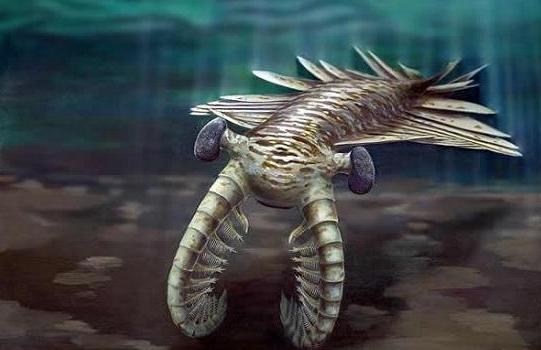 寒武纪有哪些奇怪的生物,寒武纪生物大爆发最主要特征