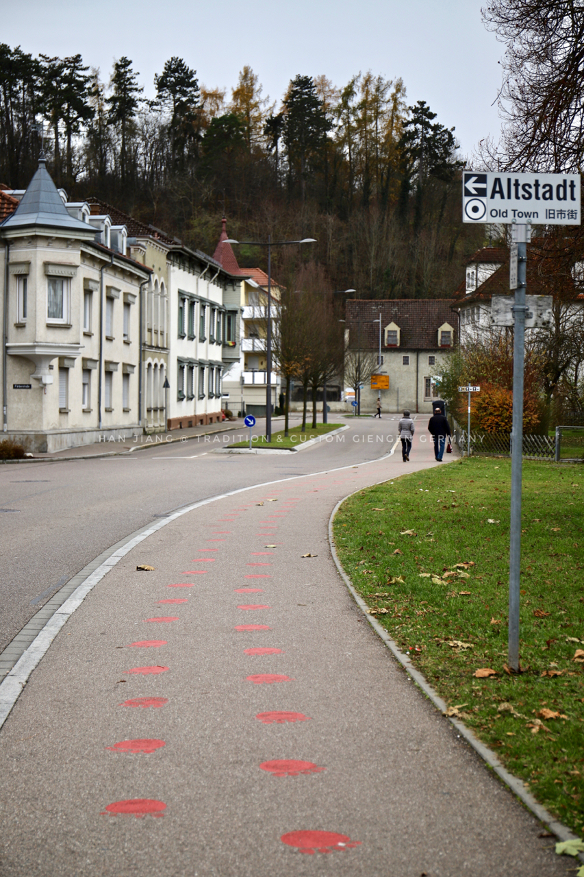 泰迪熊最贵多少钱,最贵的泰迪熊