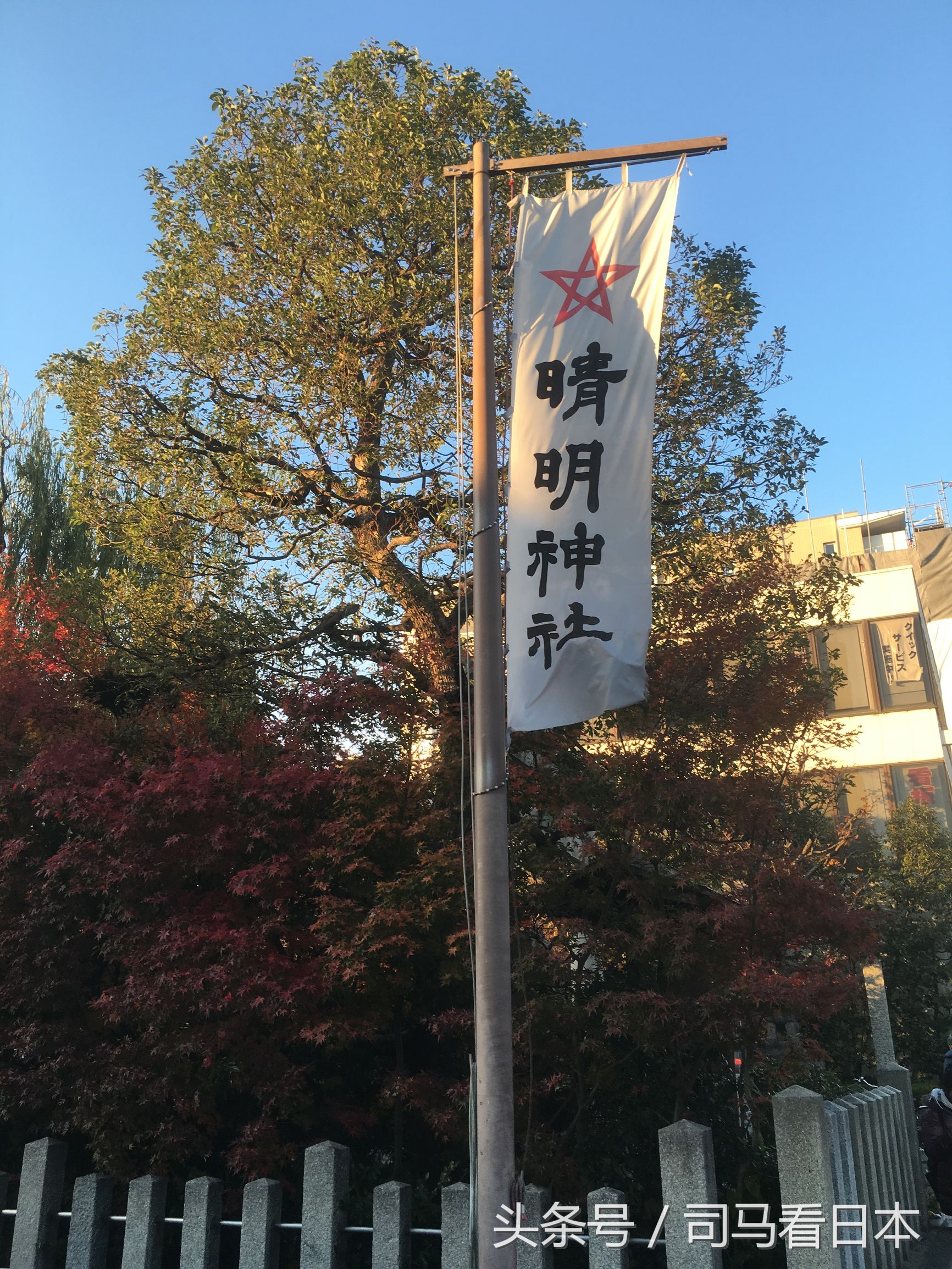 阴阳师中安倍晴明的身份,阴阳师衍生作安倍晴明的现代生活