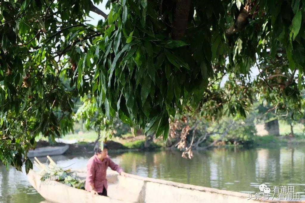 东阳风景区排行,东阳附近5a游玩攻略