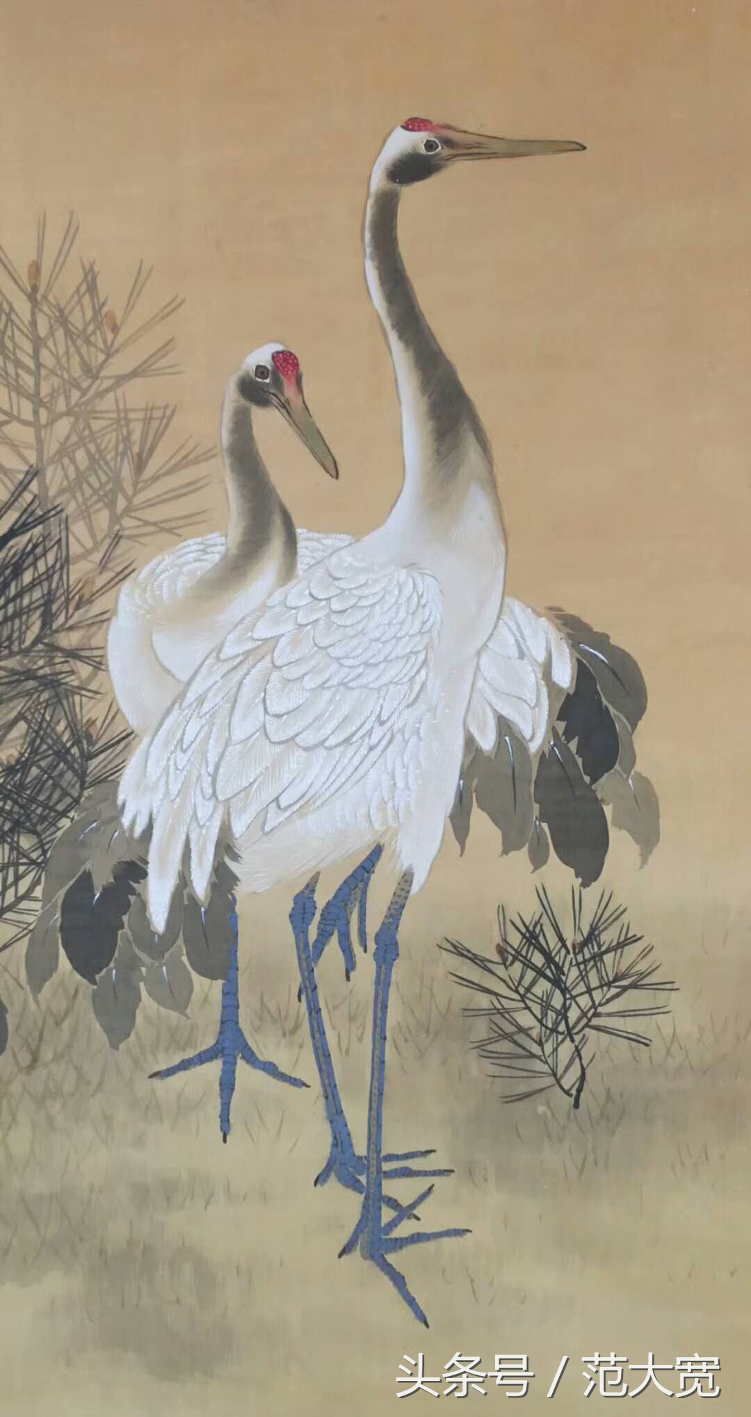 日本画师画仙鹤,仙鹤画作讲解
