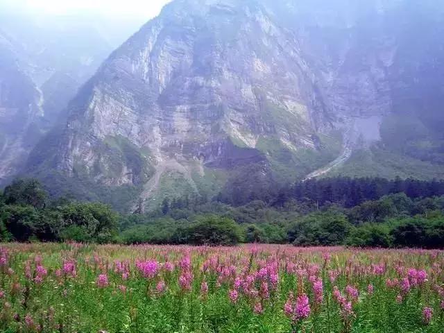 收藏！西成高铁12月6日开通，青白江人的独家攻略来啦！