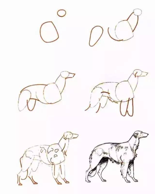 艾莎公主怎么画简单又漂亮简笔画,蔬菜的简笔画怎么画又好看又简单