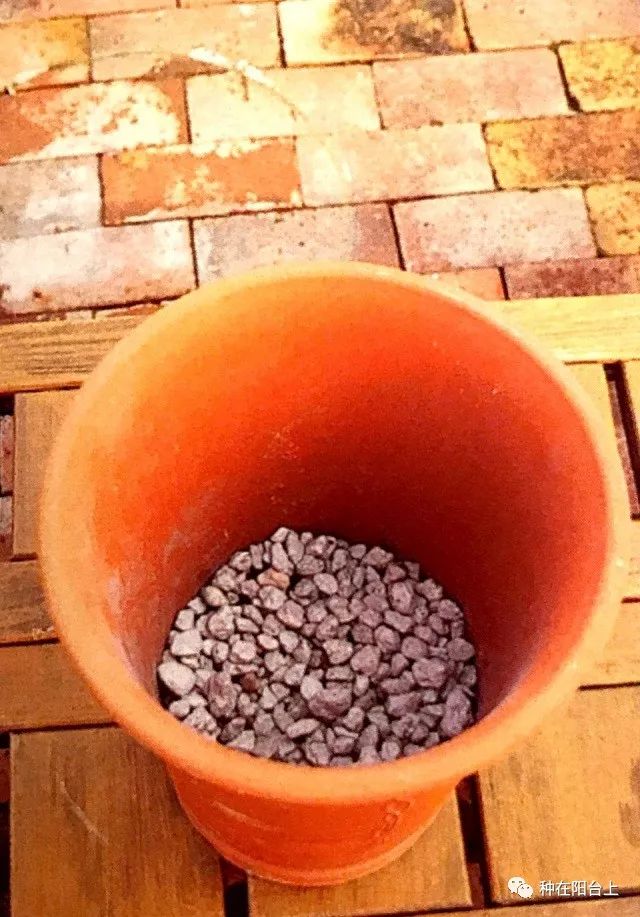 艳慕地中海风格的蔷薇鲜花拱门吗？十步骤即可在你家阳台上实现！