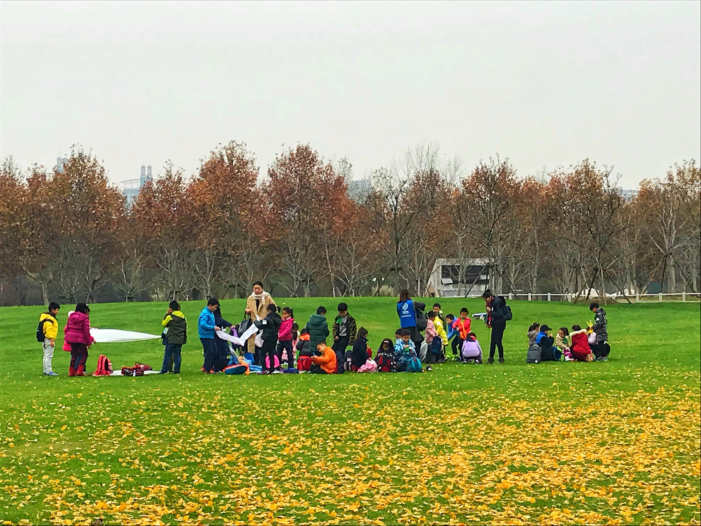 上海浦东世纪公园秋季,上海浦东新区世纪公园